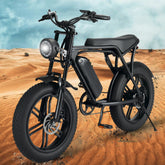 20 Inch 48 V Fat Tire E-Bicycle