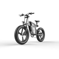 20 Inch 48V National Standard Off-Road Electric Bicycle