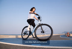 Urtopia | Carbon 1 E-Bike 36V 9.8Ah 350W