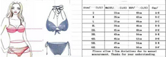 Women's Plus Size Striped Tankini with High Waist Shorts