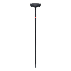 Race Mast