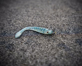 Fish or Die Bait Company The Gadsden