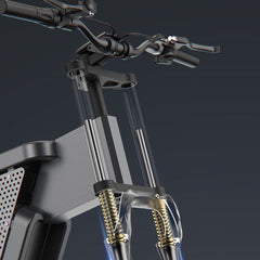 20 Inch 48V National Standard Off-Road Electric Bicycle