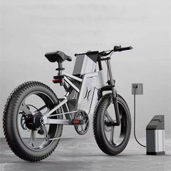 48V 20-25Ah Off Road Electric Bicycle