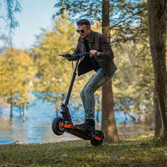 Joyer |S10-S-Z E-Scooter 48V 800W