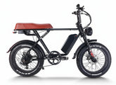 48V, 115Ah 750W Double Battery Harley-Like Hi-Tech E-Bike