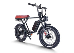 48V, 115Ah 750W Double Battery Harley-Like Hi-Tech E-Bike