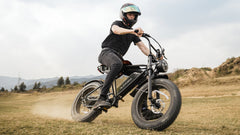 48V, 115Ah 750W Double Battery Harley-Like Hi-Tech E-Bike