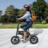 Folding Electric Bike with 350W Motor and 36V Battery