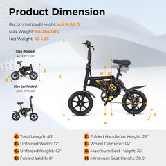 Folding Electric Bike with 350W Motor and 36V Battery