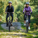 54V 13Ah 850W Folding Electric Bicycle with 20-Inch Fat Tires