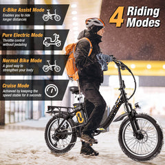 54V 13Ah 850W Folding Electric Bicycle with 20-Inch Fat Tires