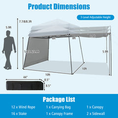 10 x 10 Foot Instant Pop-Up Canopy with Sidewalls and Awning