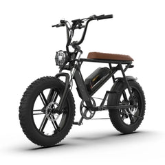 750W Electric Bike, 48V 13Ah Lithium Battery, Aluminum Frame