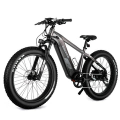 Eddes Palo eBike with 52V 750W Motor, 17Ah Long Range