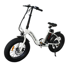 AostirMotor | A20 or G20 E-Bike 36V 500W