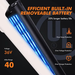 Qlife 750W Electric Bike - Step-Through Frame, 36V Battery