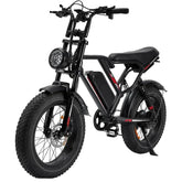 Electric Bike: 1000/3000W Motor + 48V Removable Battery