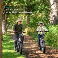 VTUVIA | SF20H Utility E-Bike 48V 14Ah