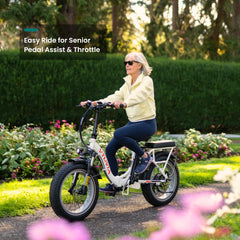 VTUVIA | SF20H Utility E-Bike 48V 14Ah