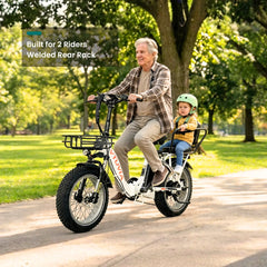 VTUVIA | SF20H Utility E-Bike 48V 14Ah