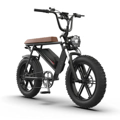 750W Electric Bike, 48V 13Ah Lithium Battery, Aluminum Frame