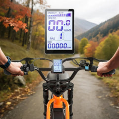 SpaceWalk | M6 E-Bike 48V 350W