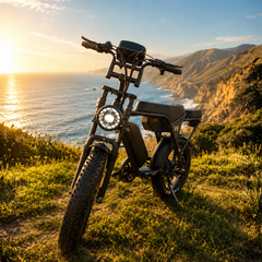 Ride Revolt | V8 E-Bike 48V 15Ah 750W