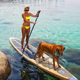 Lakeshore Paddleboard Company Wet Woody Paddleboard