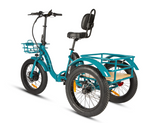 Start eBike New Trike 2.0