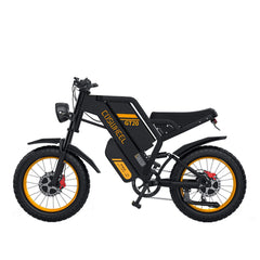 48V 40Ah 3000W Dual Motor Fat Tire Electric Bike