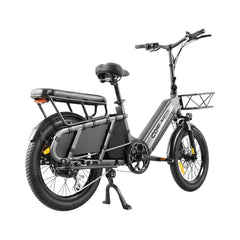 48V 20Ah 1300W Electric All-Terrain Cargo Bike
