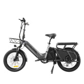 48V 20Ah 1300W Electric All-Terrain Cargo Bike