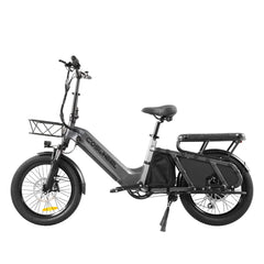 48V 20Ah 1300W Electric All-Terrain Cargo Bike