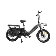48V 20Ah 1300W Electric All-Terrain Cargo Bike