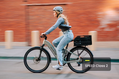 Aventon | Level 3 Step-Over E-Bike 36V 20Ah 500W