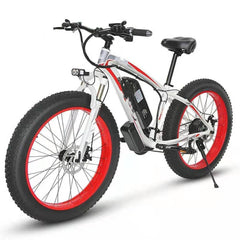 Lithium Electric 21 Speed Electric Bicycle