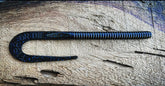 Fish or Die Bait Company Blitzkrieg