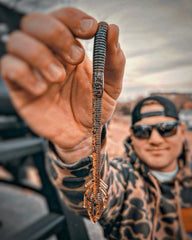Fish or Die Bait Company Musket