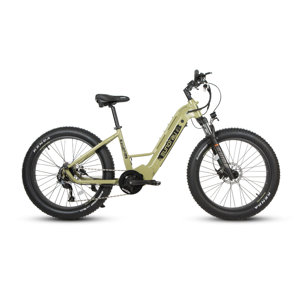 Eunorau | FAT-HD 2.0/Hunter X7 E-Bike 48V 15Ah 1000W