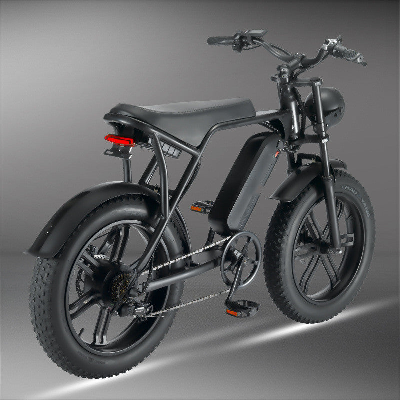 20 Inch 48 V Fat Tire E-Bicycle