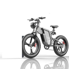 20 Inch 48V National Standard Off-Road Electric Bicycle