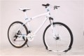 BMW Cross Country/Mountain Bike with Double Disc Brakes