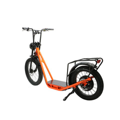 Start eBike Jumbo