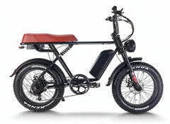 48V, 115Ah 750W Double Battery Harley-Like Hi-Tech E-Bike