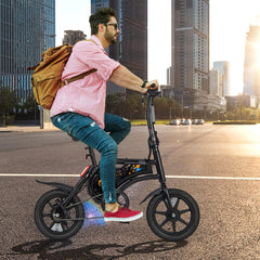 Folding Electric Bike with 350W Motor and 36V Battery