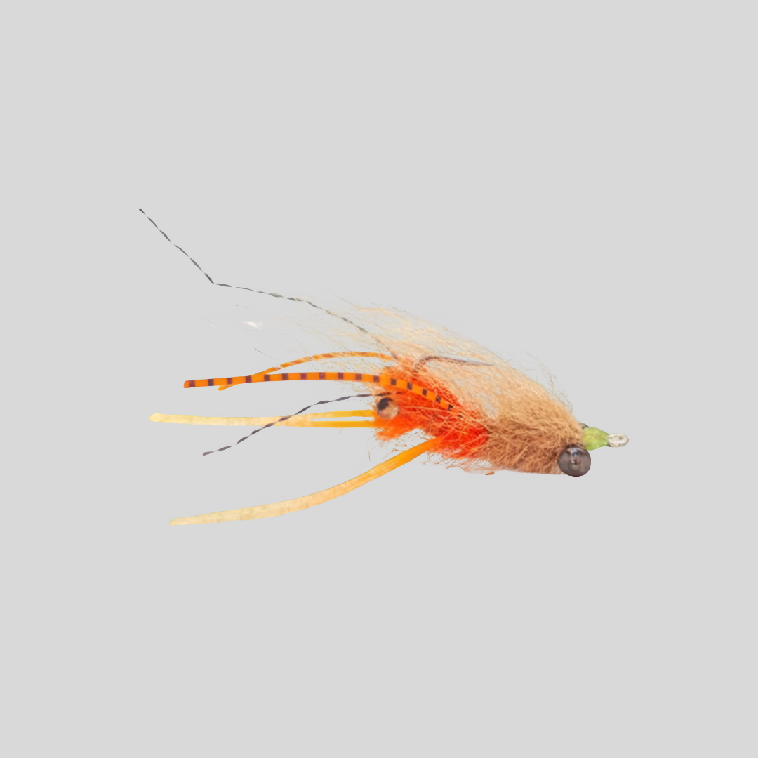 Fish-Skull® Squimpish Shrimp