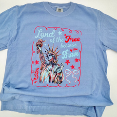 All Ages Doodle 'Land of the Free' Comfort Color Tee