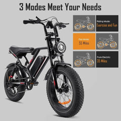 Electric Bike: 1000/3000W Motor + 48V Removable Battery