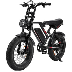 Electric Bike: 1000/3000W Motor + 48V Removable Battery